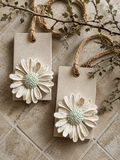 GEURORNAMENT DAISY
