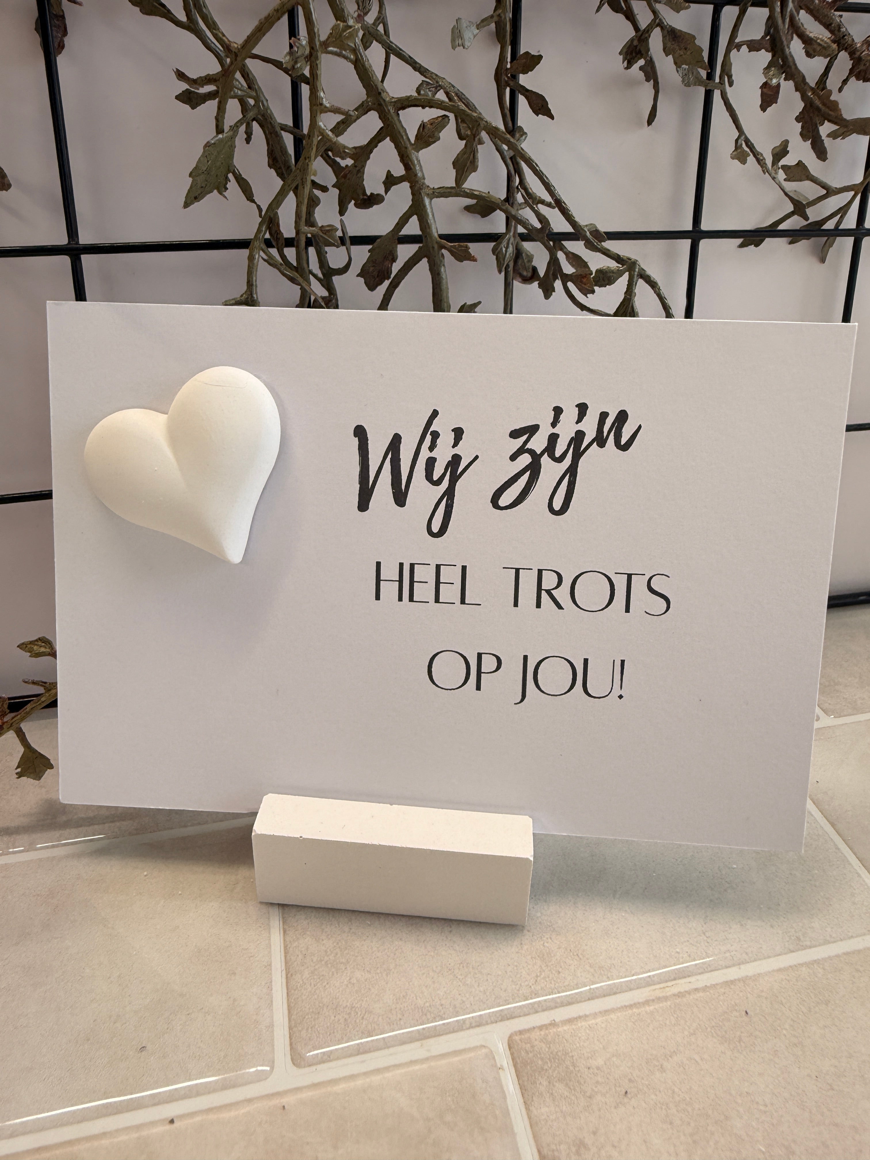 KAART " WIJ ZIJN HEEL TROTS OP JOU!".